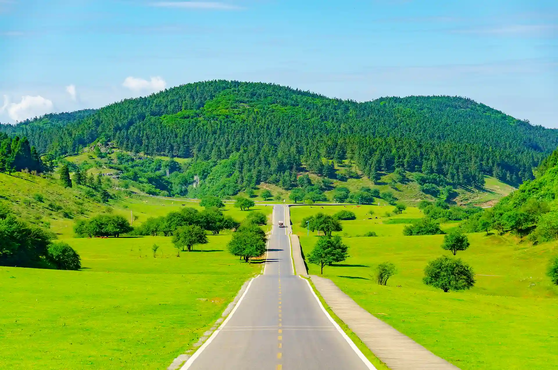 충칭·우룽·선녀산 5일 프라이빗