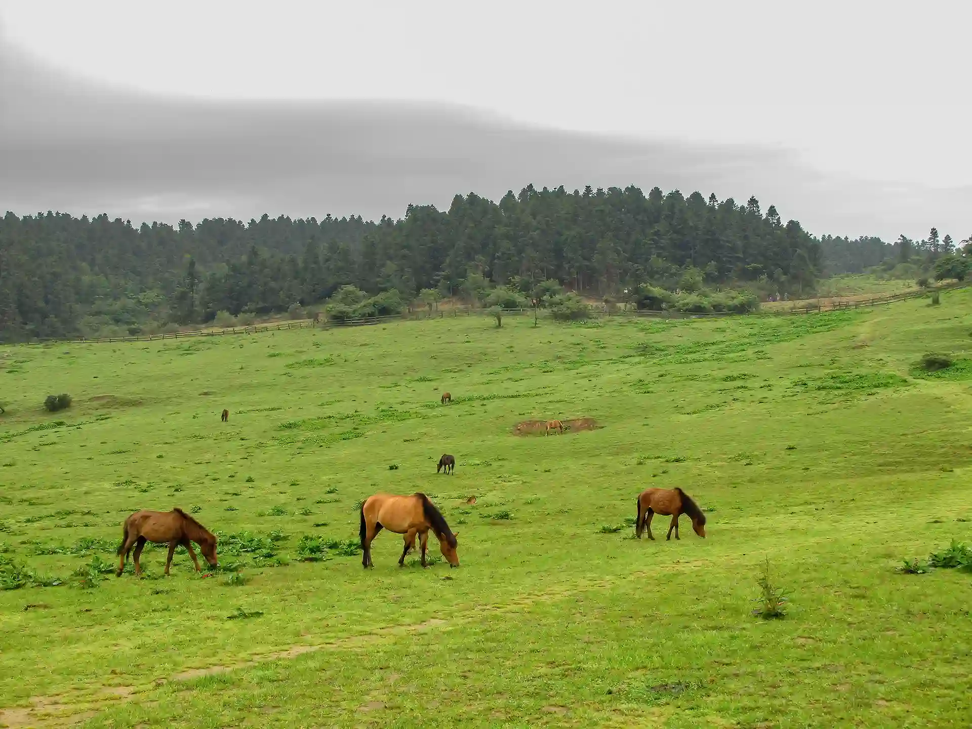 선녀산 국가삼림공원