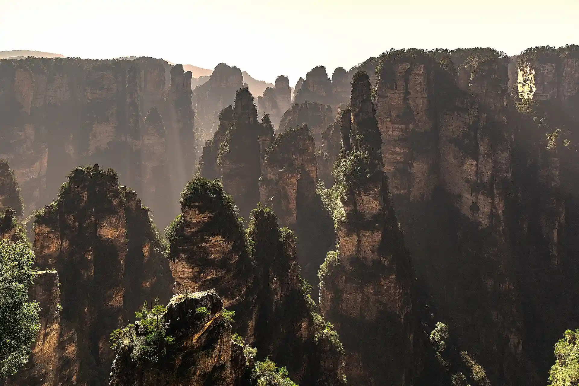 Zhangjiajie National Forest Park 1-Day Tour